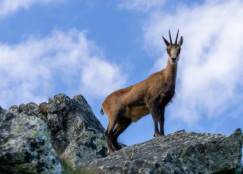 Aktywny weekend. Pomysły na górskie wyprawy
