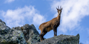 Aktywny weekend. Pomysły na górskie wyprawy
